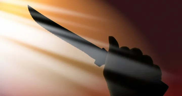 Krvavi obračun na Badnji dan: Poslije žestoke rasprave, otac izbo sina