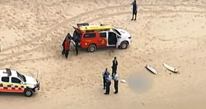 (VIDEO) Plaže odmah zatvorene: Morski pas dug tri metra ubio surfera