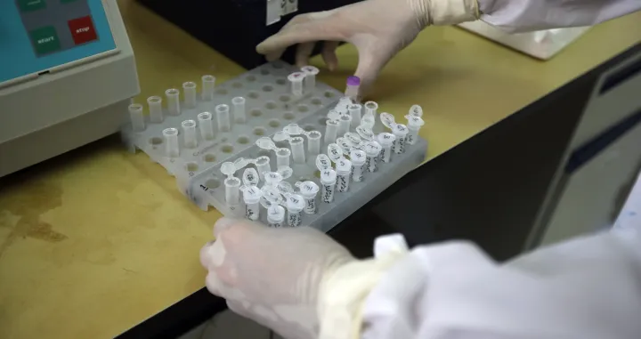 Italijanski profesor:Virus je bio poput agresivnog tigra, sada je poput divlje mačke