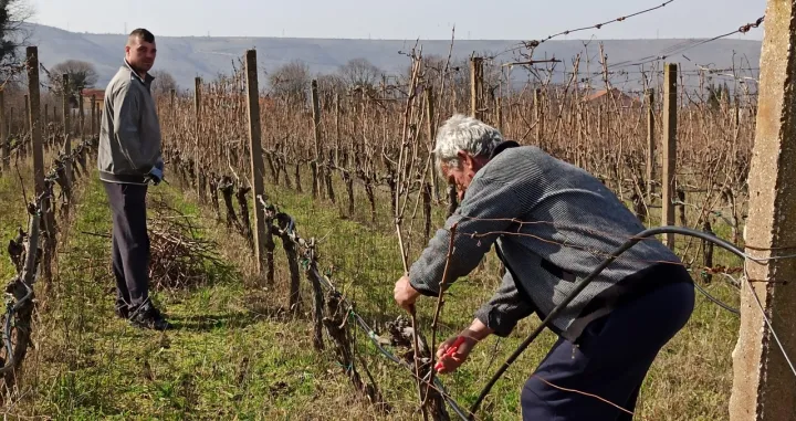 Ostajte ovdje, a tjeraju nas iz Mostara
