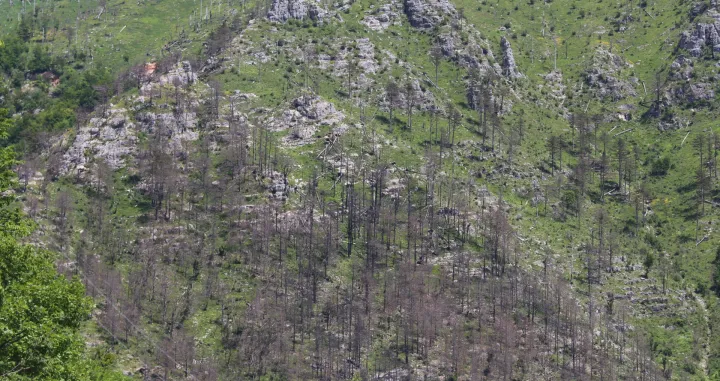 (FOTO) Banja iznad Mostara