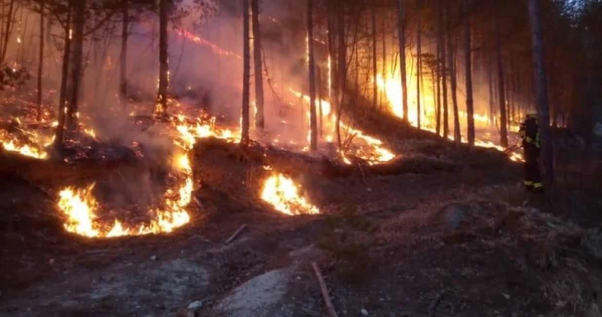 Požar u Jablanici/Fena/