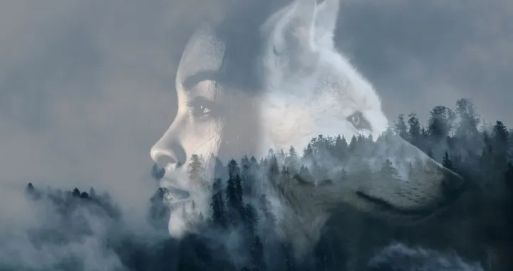 horoskop ilustracija/