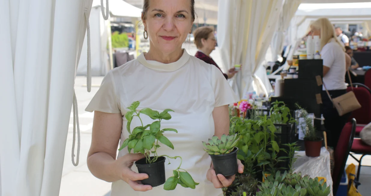 Tea festival ispred bbi/Senad Gubelić