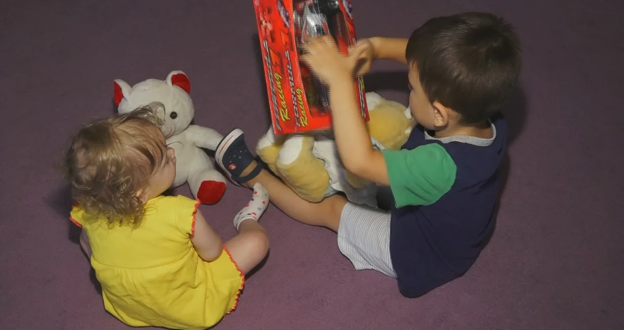 Djeca Doma Bjelave, domci, istraga/