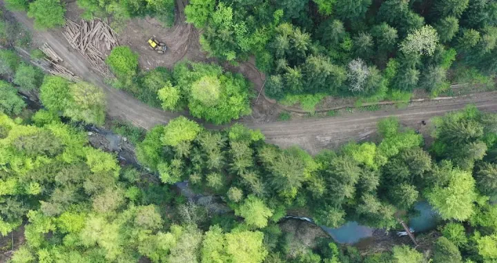 Planina Konjuh meta nekonstrolisane sječe &scaron;ume/Karton Revolucija