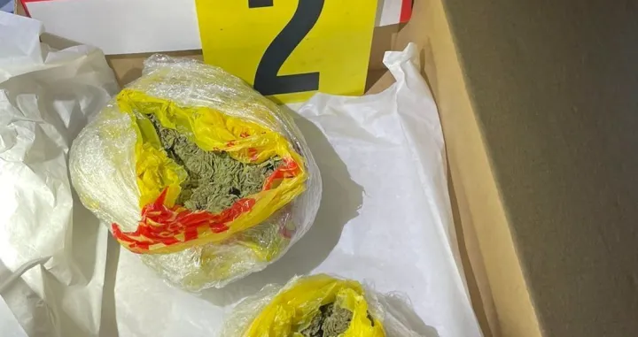 "Trava" zaplijenjena u akciji/FUP/