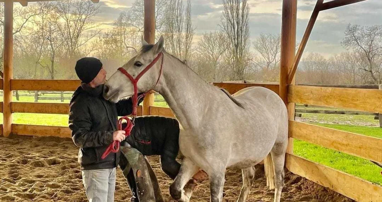 / Ergela Vučijak Prnjavor/