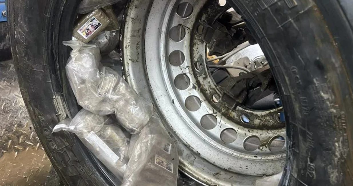 &Scaron;verc droge/ Srna/