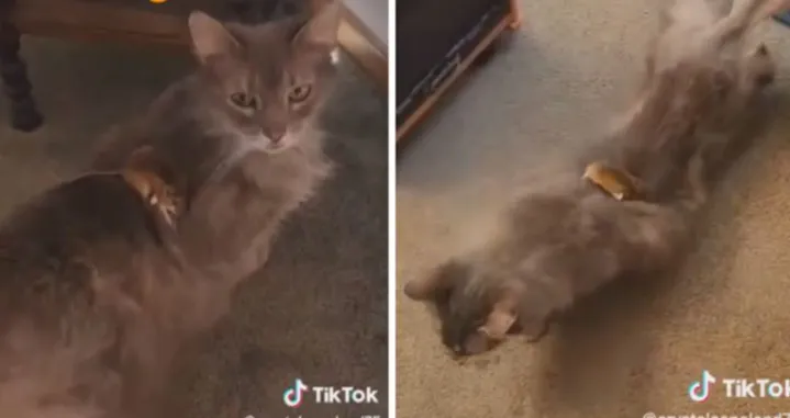 "Napravi ne&scaron;to", govori mu&scaron;karac u videu/Screenshot