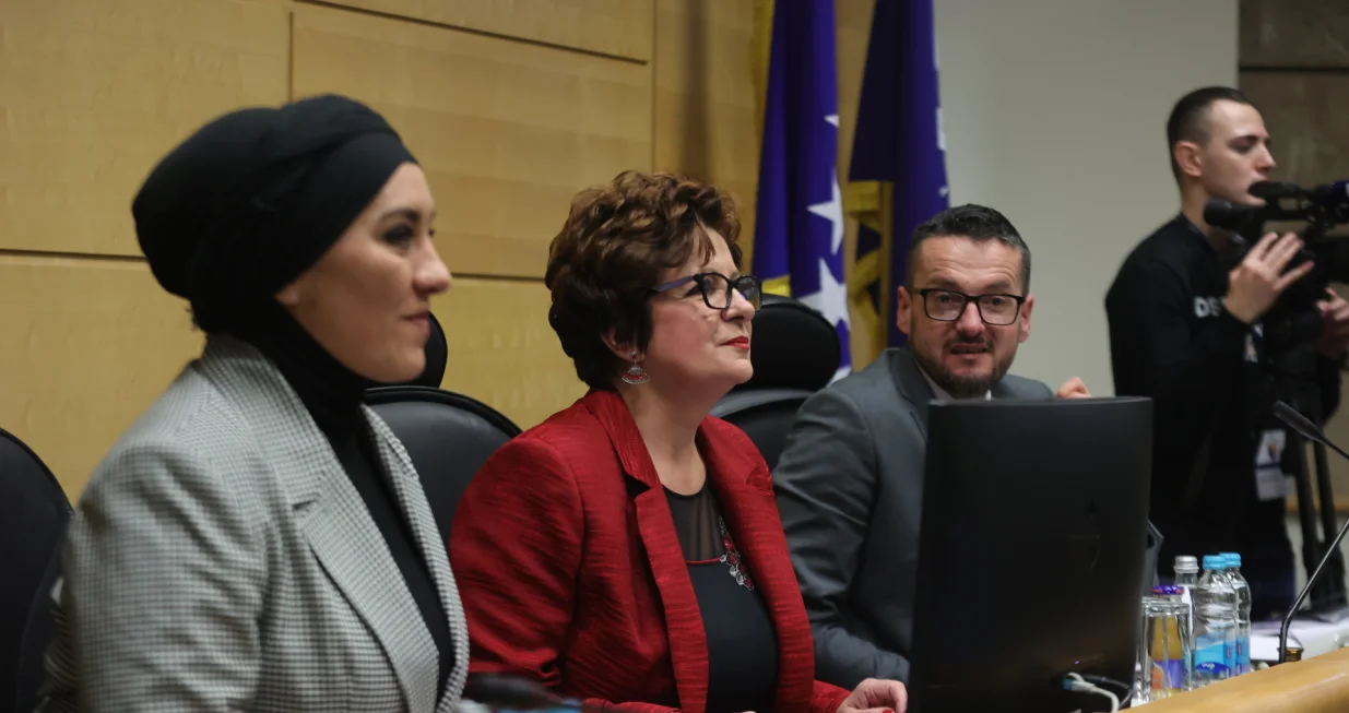 Sjednica Predstavničkog doma Parlamenta F bih/Didier Torche 