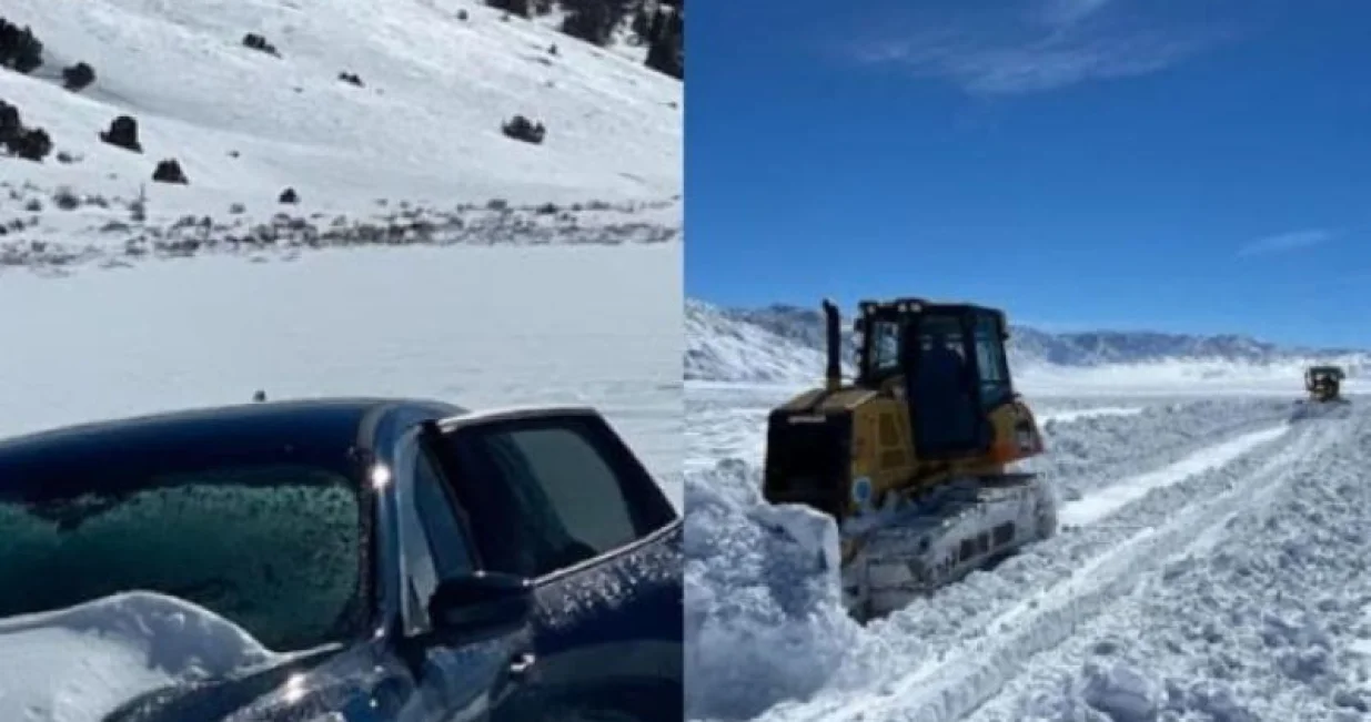 Spasile su ga metode iz Survivora/