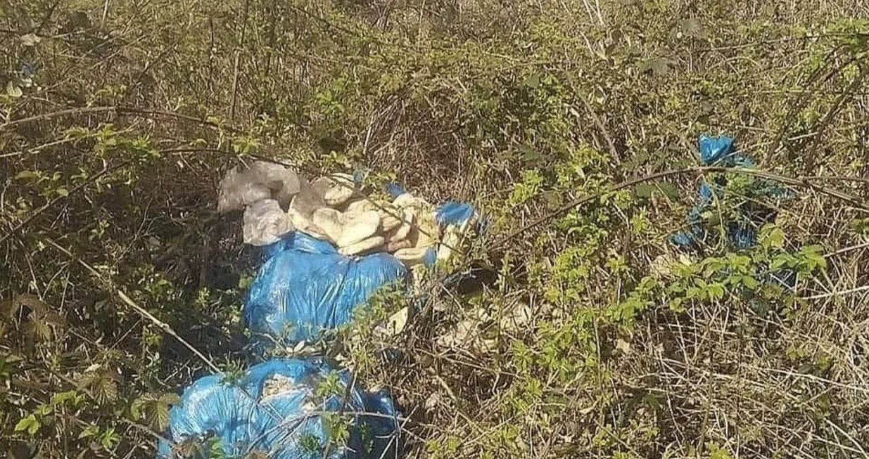 Sramotan prizor/ GP Maljevac/