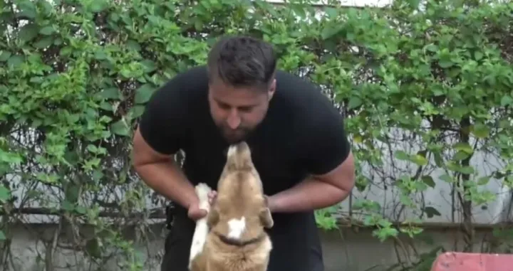 Sada su najbolji prijatelji/