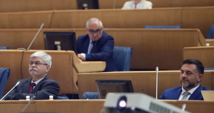 Predstavnički dom Parlament BiH sjednica/Didier Torche/