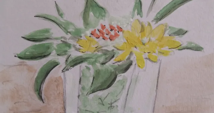 Mala providna vaya Alvar Aalte/