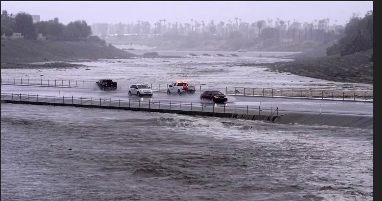 kalifornija hilari.JPG/Sanja Đukić