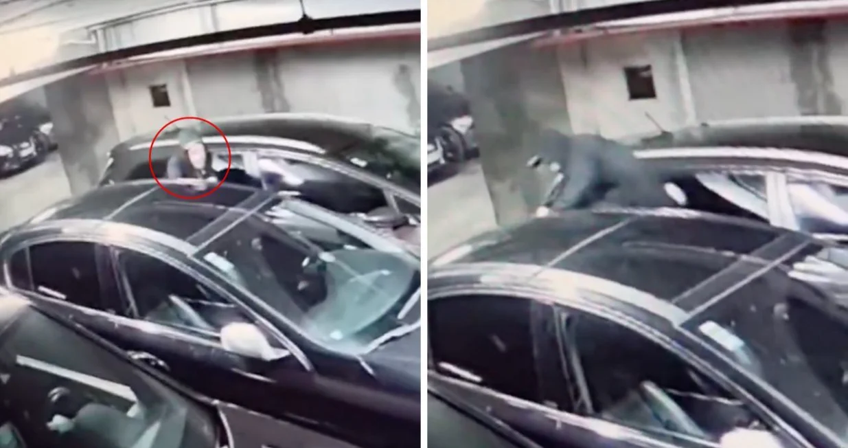 Lopov u akciji/ Crna Hronika/ Facebook/