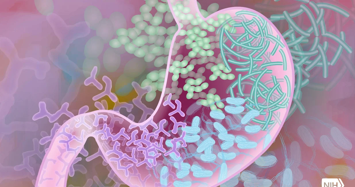 Crijevna flora je možda najbitniji katalizator va&scaron;ih dobrih osjećanja. // Flickr/