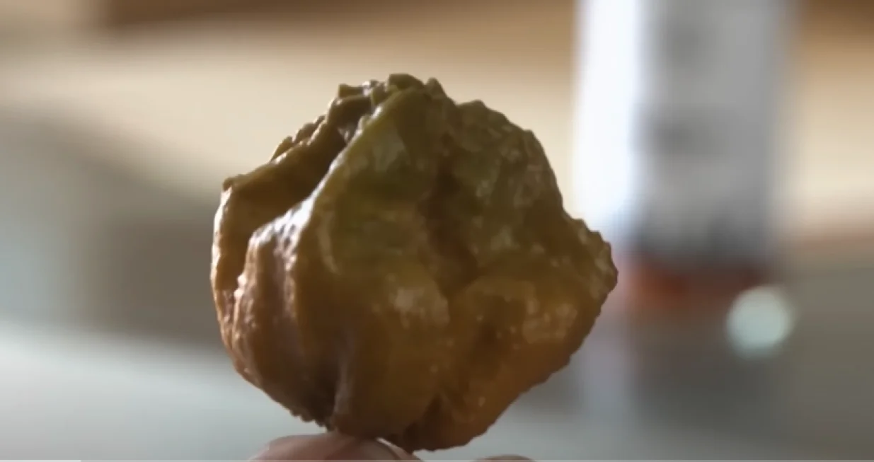 ''Paprika X'' je sada naljuća stvar na svijetu/Printscreen/Youtube/