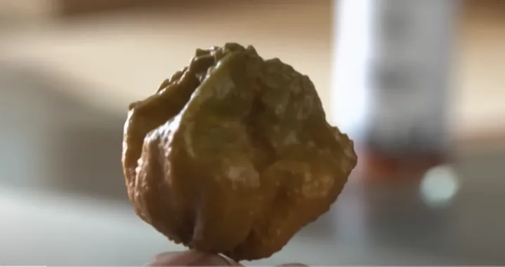 ''Paprika X'' je sada naljuća stvar na svijetu/Printscreen/Youtube/