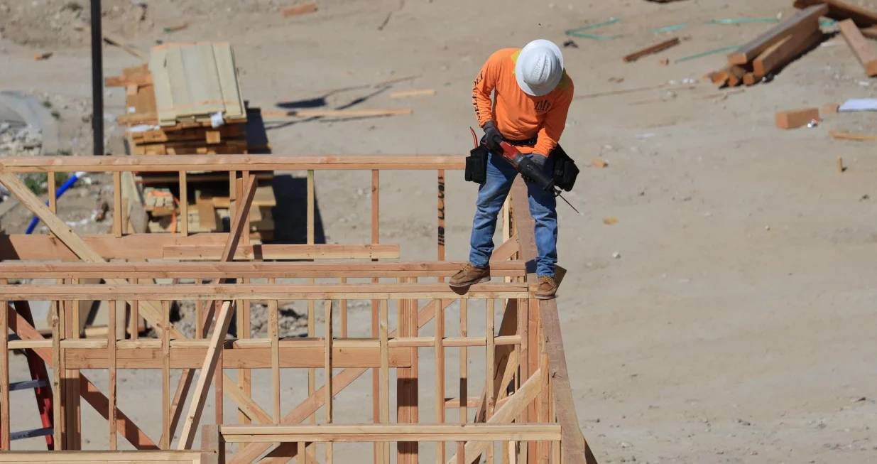 U Australiji se gradi najviši drveni neboder na svijetu/Ilustracija/Pexels/