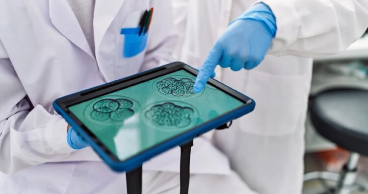 Embrioni sisara/Shutterstock/