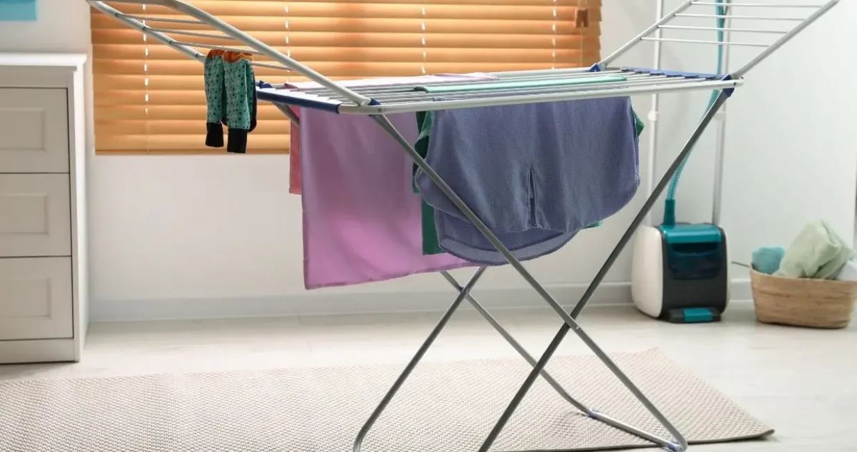 su&scaron;enje ve&scaron;a/