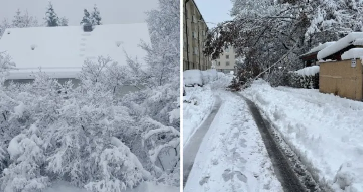 Snijeg u Minhenu i okolini (Njemačka)/X