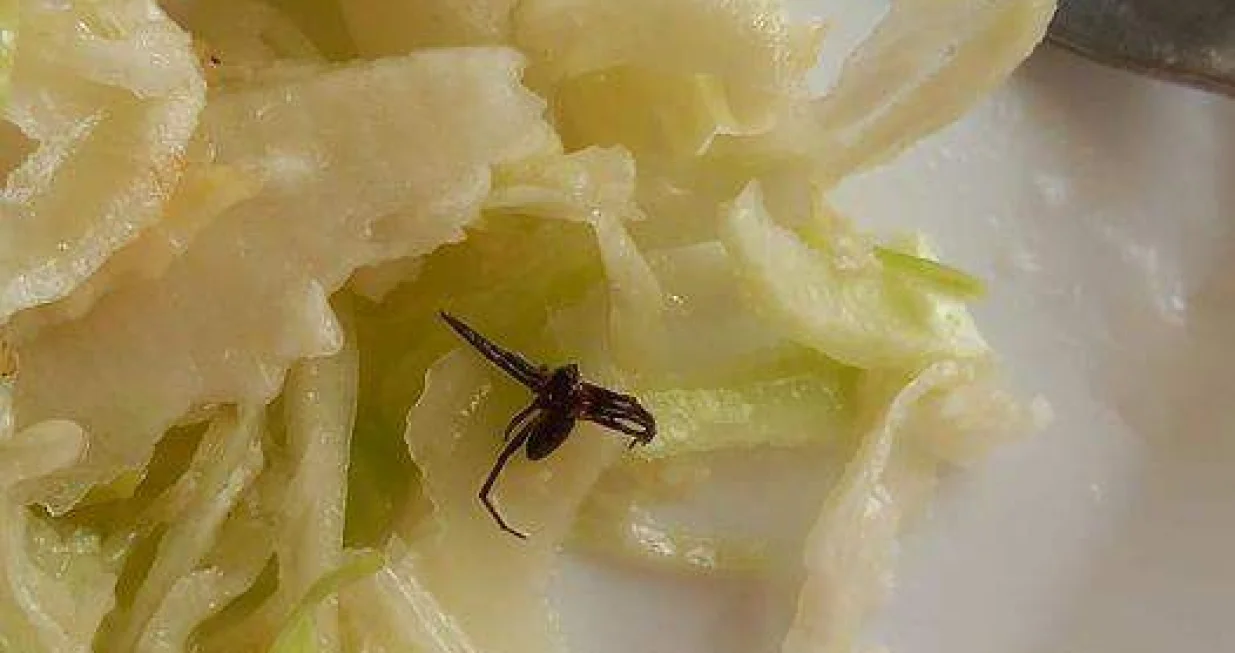 Studenti se žale na brojne probleme/Čitalac/