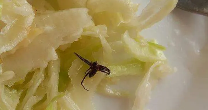 Studenti se žale na brojne probleme/Čitalac/