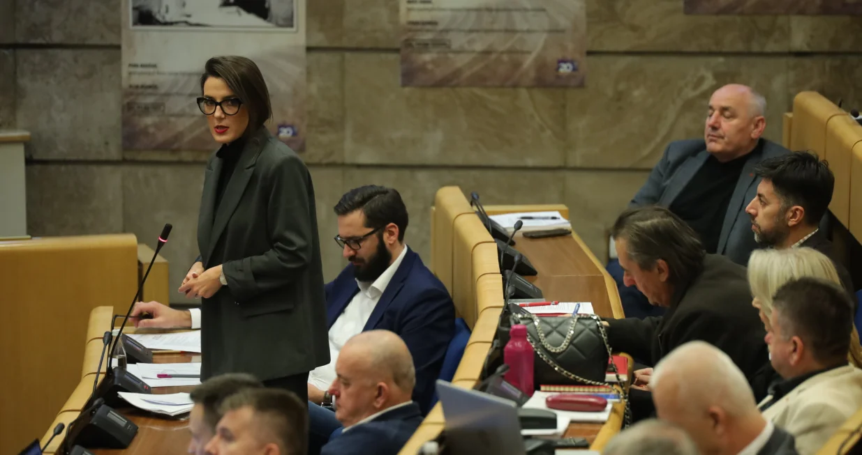 Nastavak 4 redovne sjednice Predstavničkog doma Parlamenta Federacije BiH/Senad Gubelić