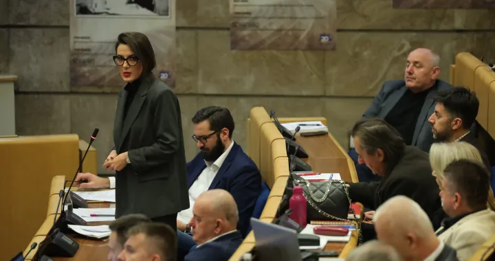 Nastavak 4 redovne sjednice Predstavničkog doma Parlamenta Federacije BiH/Senad Gubelić