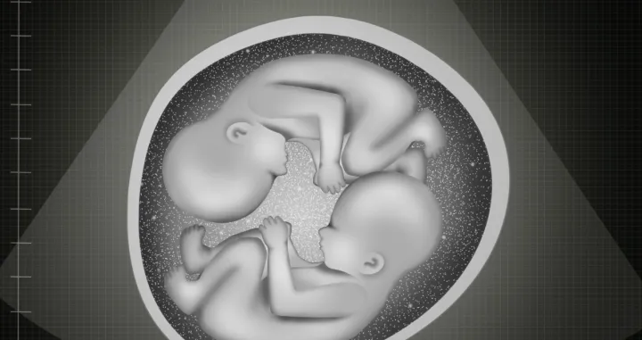 U prosjeku se jednojajčani blizanci razlikuju za 5.2 genetičke promjene/