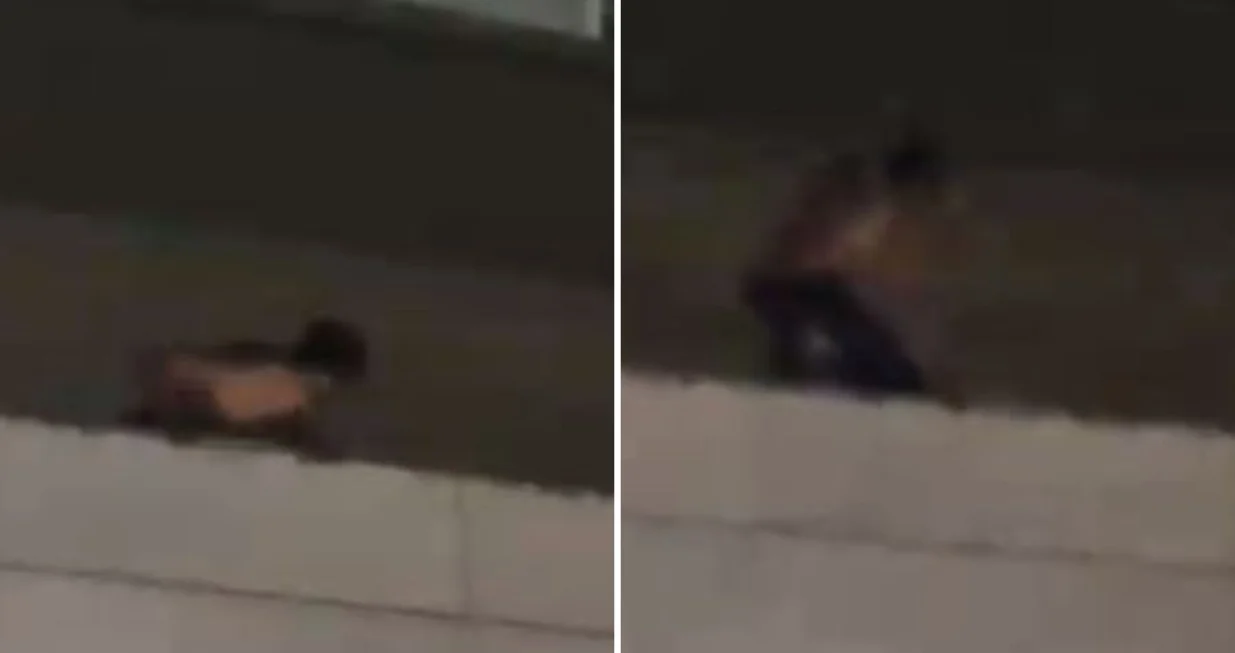 Muškarac koji je skočio sa zida strani državljanin /Screenshot/