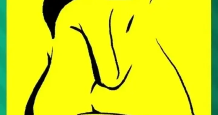 ilustracija, optička iluzija, lice ili žena/