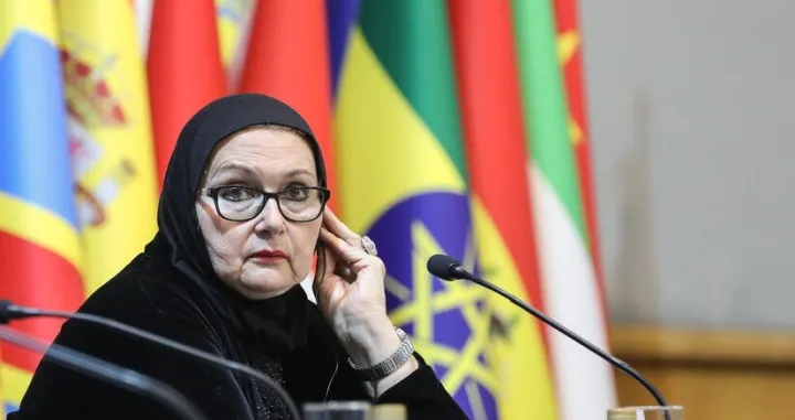 Turkovićeva je bila jedina žena za stolom sa iranskim političkim dužnosnicima/Mehr News Agency