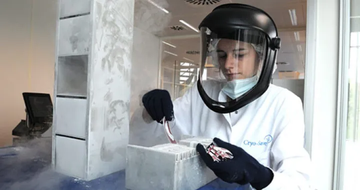 pohrana matičnih ćelija/