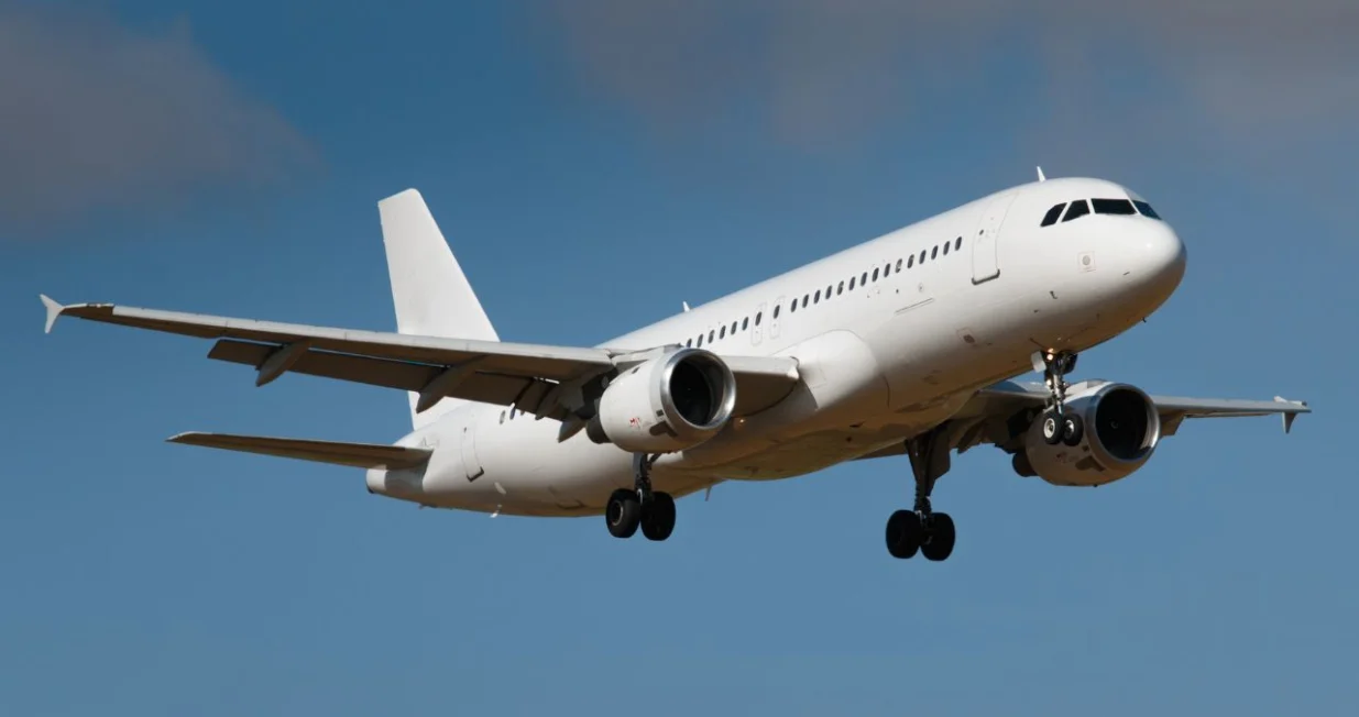 Let za New York/ Ilustracija/Canva/