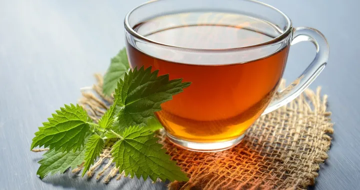 Čaj od koprive, kopriva/Pixabay