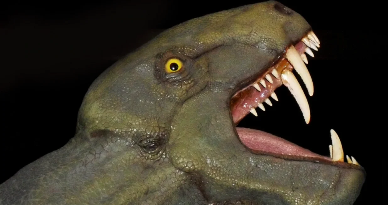 Ilustracija/ PxHere/