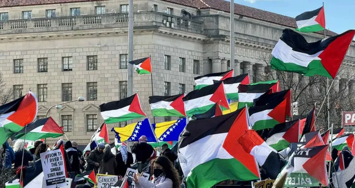 Zastave (zastava) BiH (bh. zastave) na skupu i maršu podrške Gazi i Palestini (Gaza, Pojas Gaze, Palestina), protest, Washington/Ajla Terzić