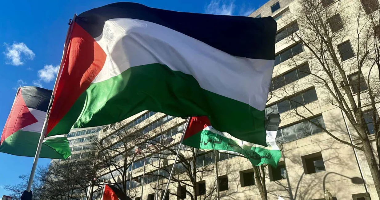 Zastave (zastava) BiH (bh. zastave) na skupu i maršu podrške Gazi i Palestini (Gaza, Pojas Gaze, Palestina), protest, Washington/Ajla Terzić