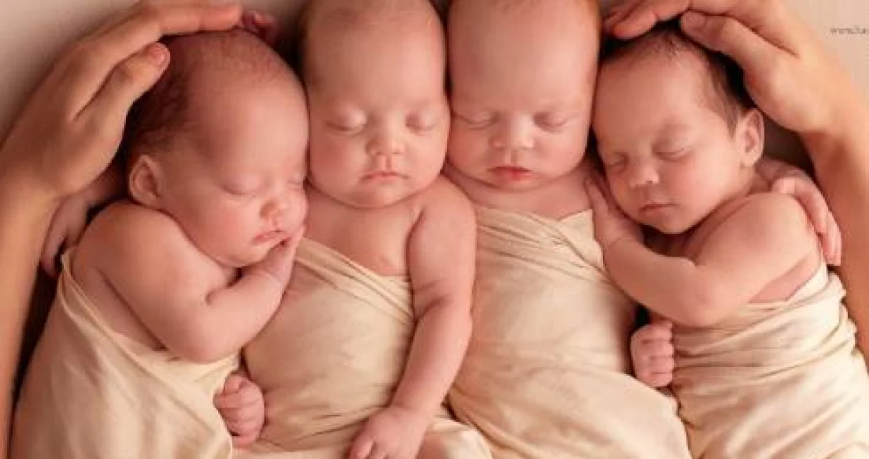 Na svijet došle zdrave četvorke/Ilustracija/