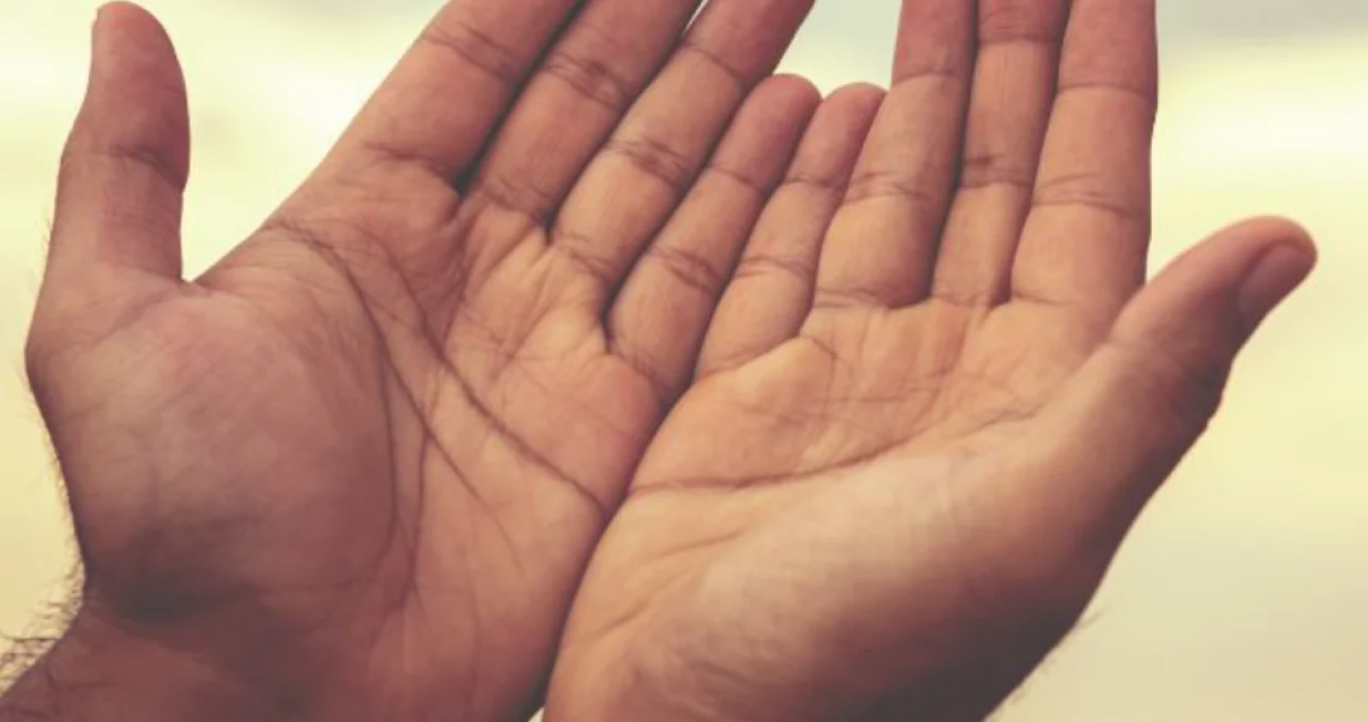 ruke ruka prsti šaka/