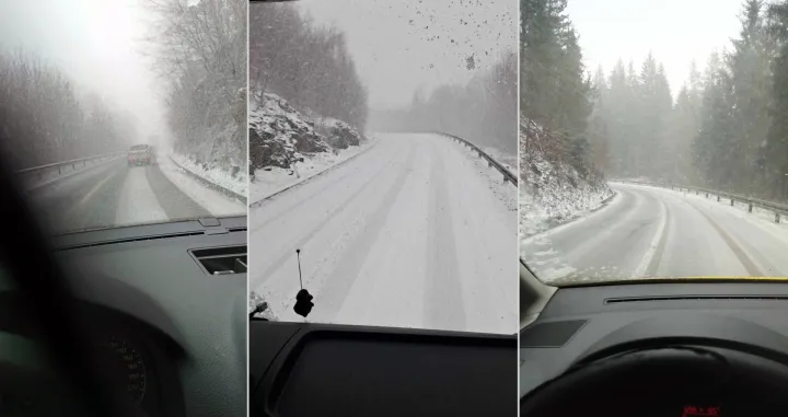 Kladanj, Rostovo i Nišići/Čitatelji/