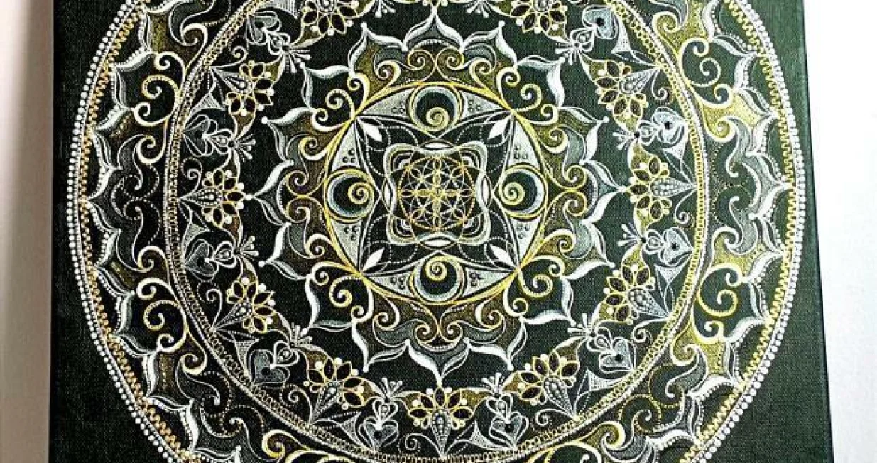 Mirjana Amidižić rad/