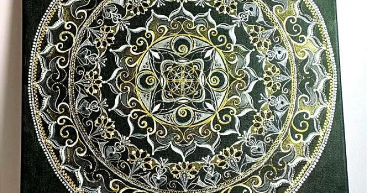 Mirjana Amidižić rad/