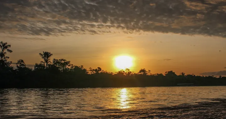 epa10293948 The Amazon river where taricaya turtles (Podocnemis unifilis) were released in Iquitos, Peru, 03 November 2022 (Issued 08 November 2022). Taricayas were on the verge of extinction some decades ago, but this trend has been reverted thanks to repopulation programs. EPA/Paula Bayarte./Paula Bayarte