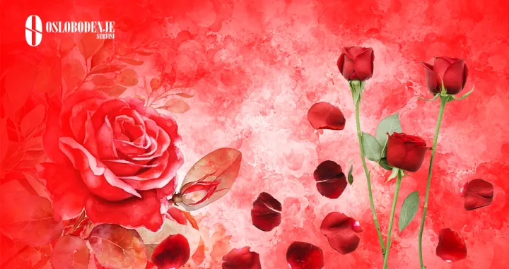 Dan žena, 8. mart, osmi mart/Oslobođenje